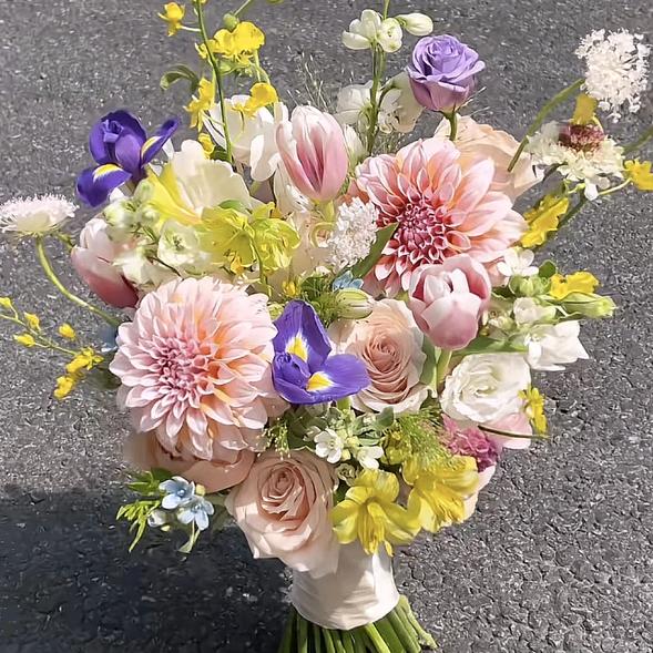 @丫头🌺