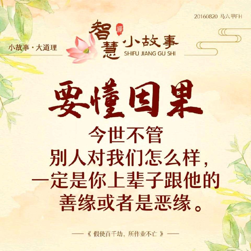 小鱼不想吃鱼