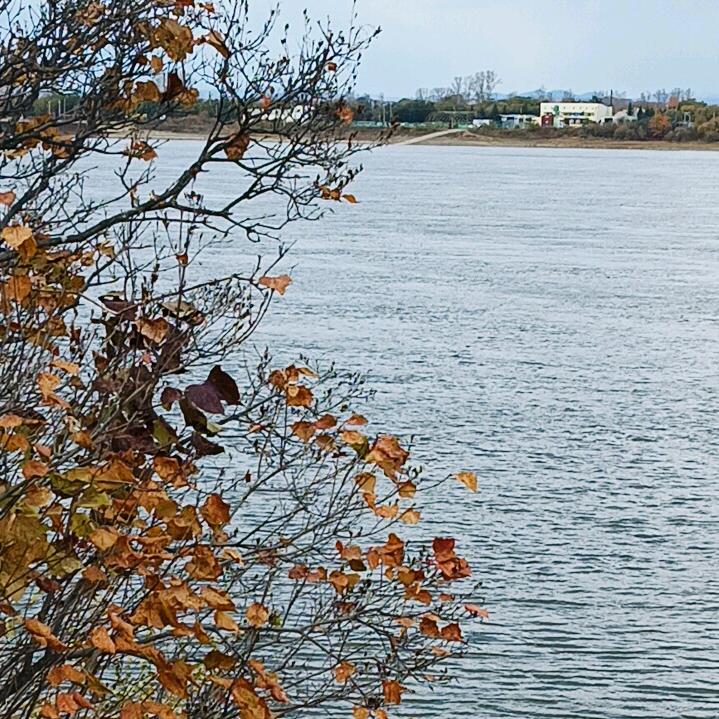 绥阳人在鹤岗住民宿