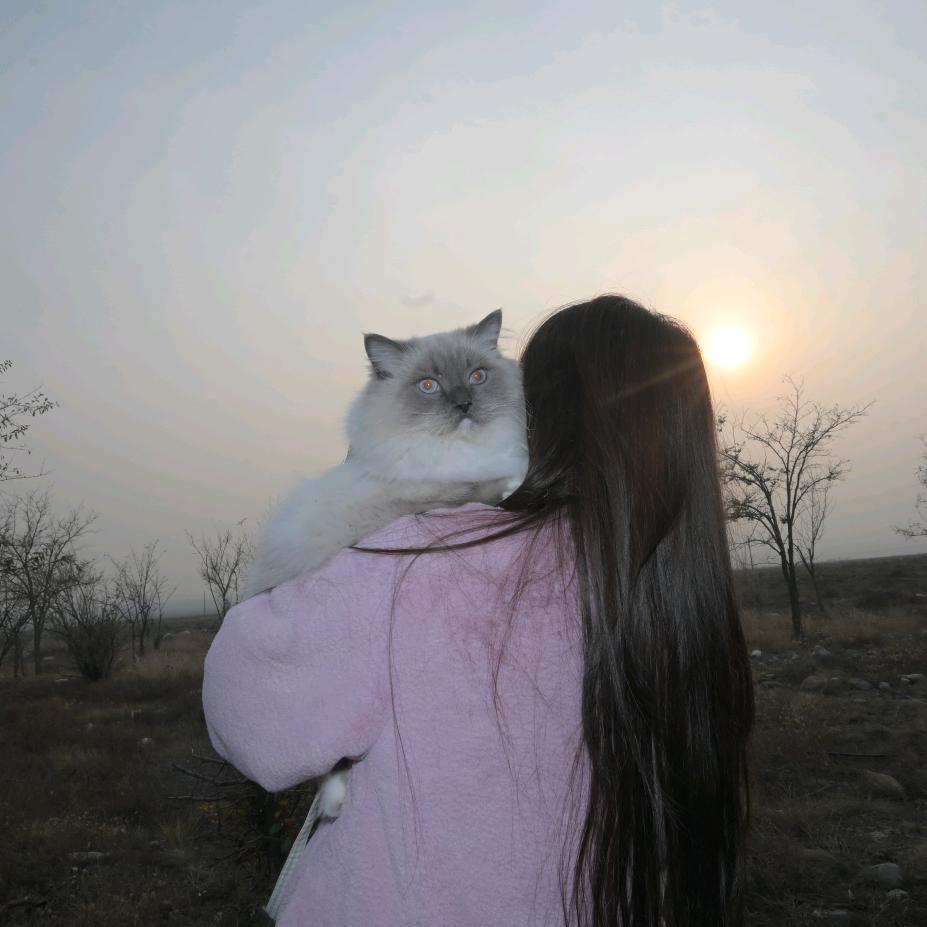 姜土土