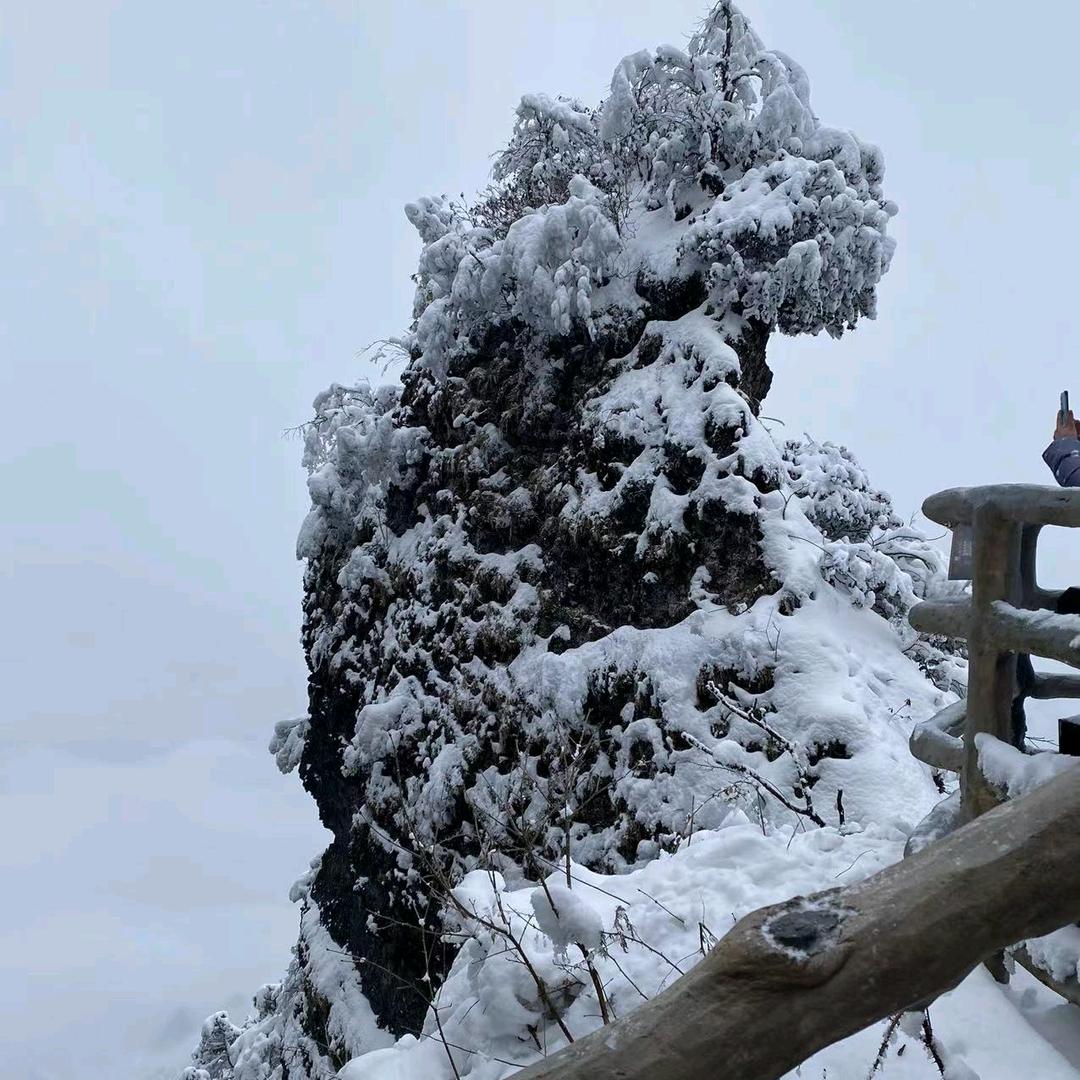 李老师（好运自来）