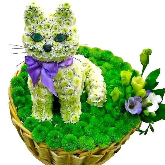 🌷云💞儿🌷