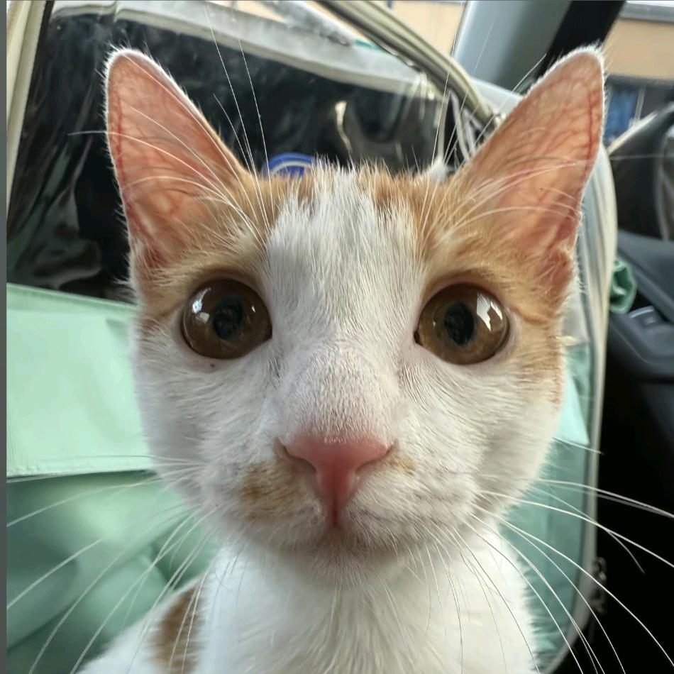 hh逗逗