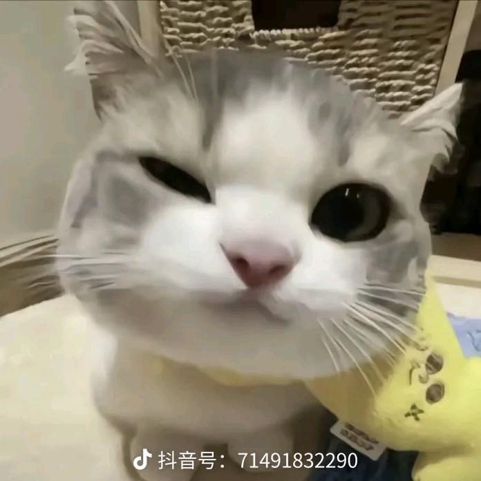 「ℳ๓炭治郎꙰」头像