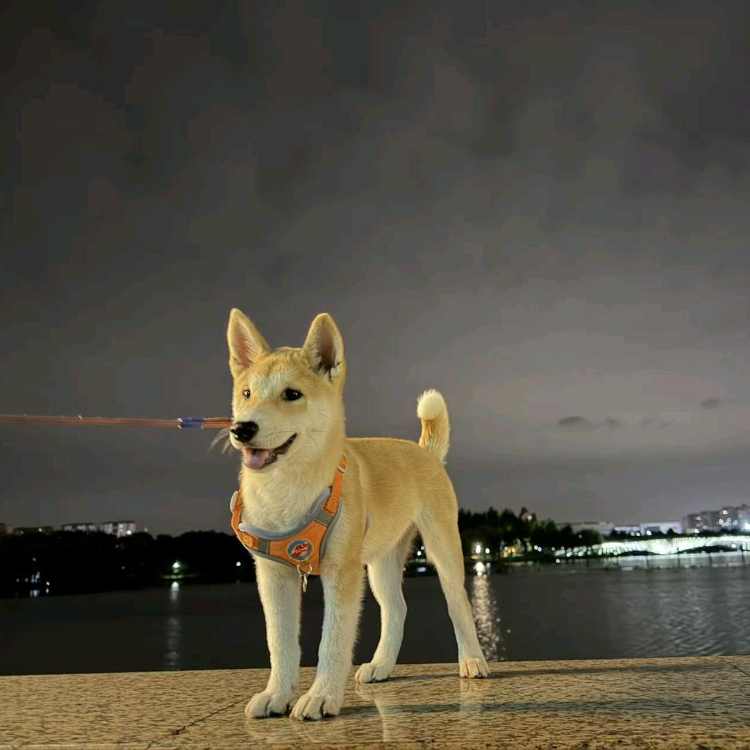 Ꭽℯ⃝落ঞᩚ幕꧔ꦿ᭄🍭