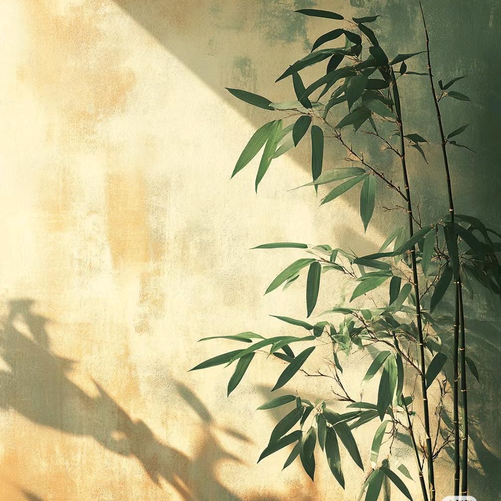 募驰稻文艺愫直播号