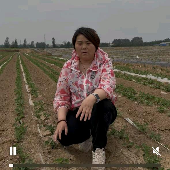 惠农张莉通许县惠农科技有限公司
