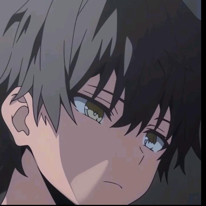 晨曦68282