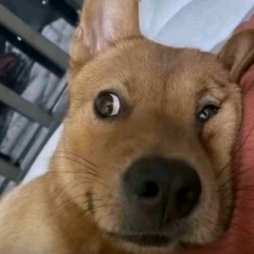 七山山地运动学院 是帅⛷️