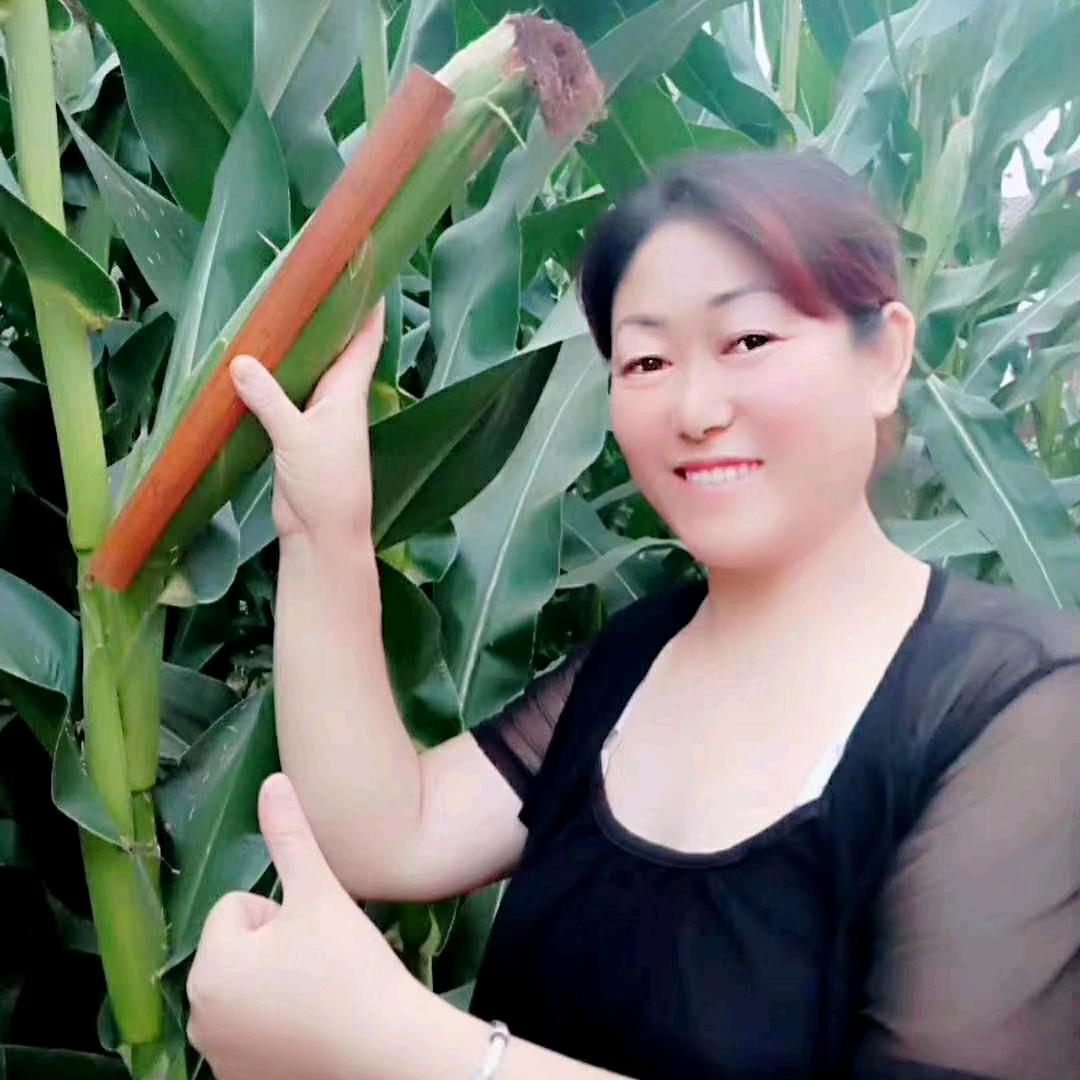 文水.红兵.农资(晓芳)