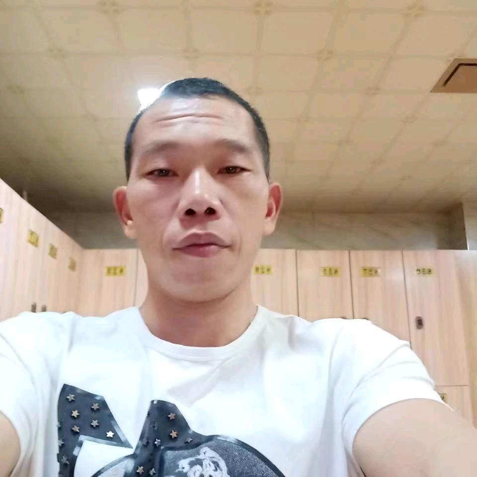 随风去流浪