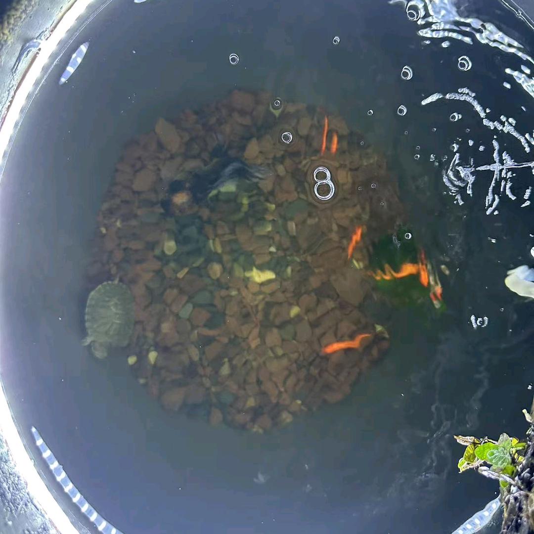 有钱男子汉，没钱汉子难