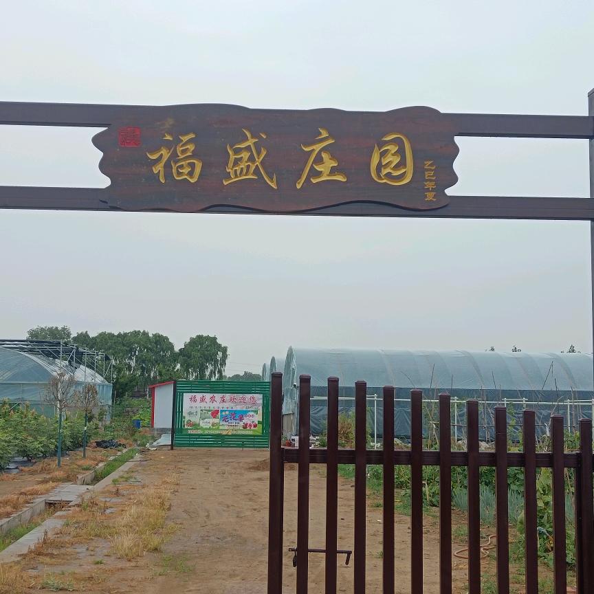 绚点