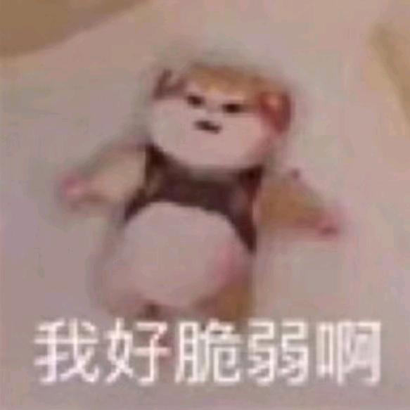 24届大专生勇闯化工厂