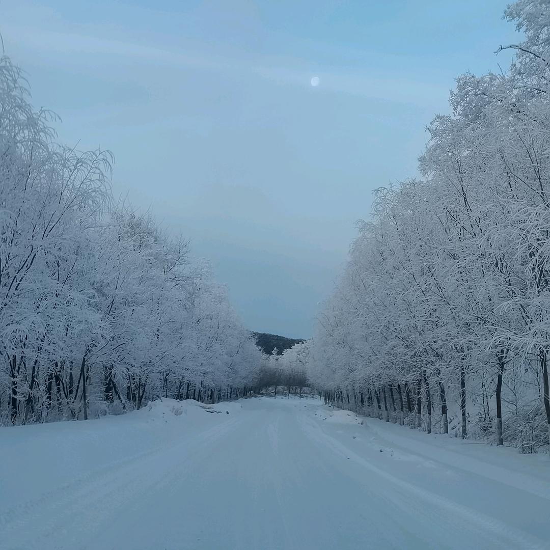 跑山的丫头