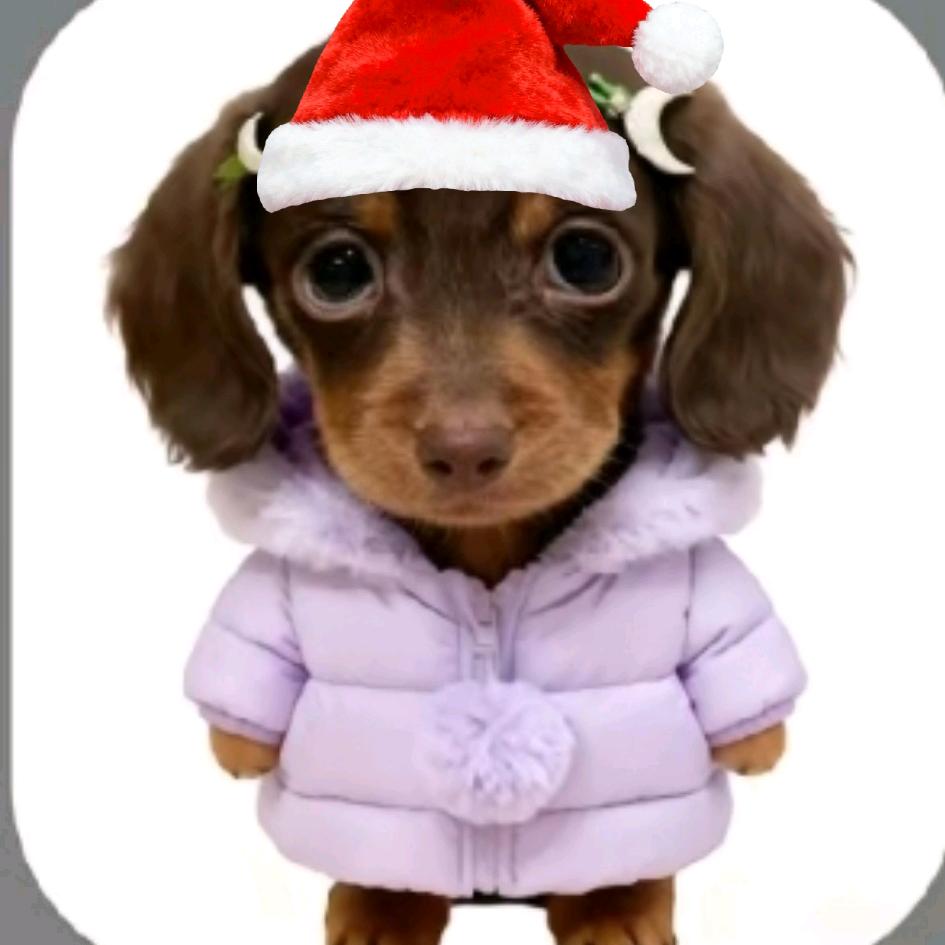 Tendernessฅᐞ˶⦁༝⦁˶ᐞฅ