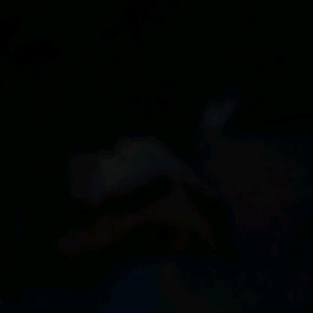 龙马精神