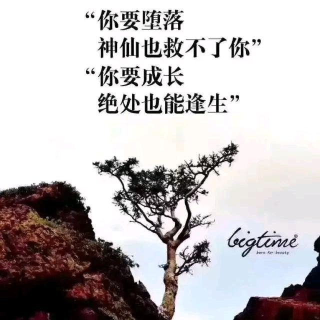໊ོོ༊过客ฅএ᭄ོ
