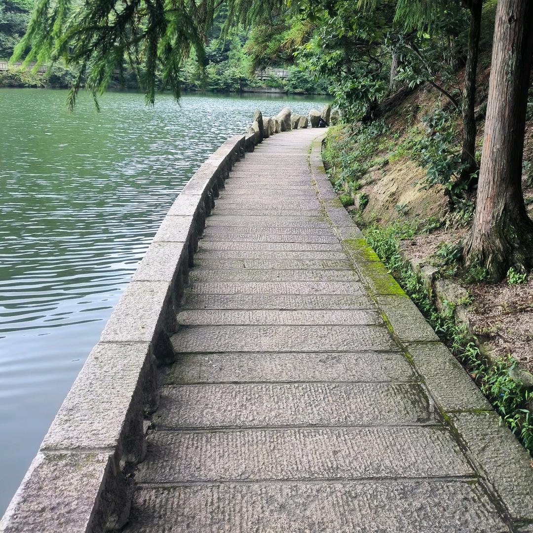 电动车王子傅之逸头像
