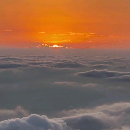 灯哥【王先生】【米家全屋智能服务商】