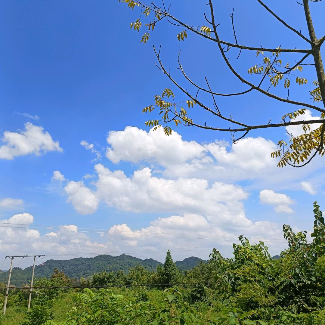 留一缕残阳寄你