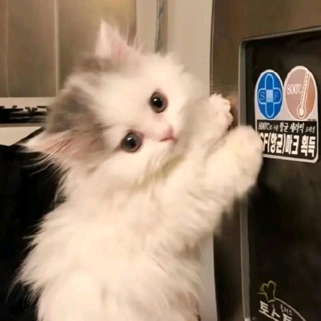 偶尔躲躲乌云☁️