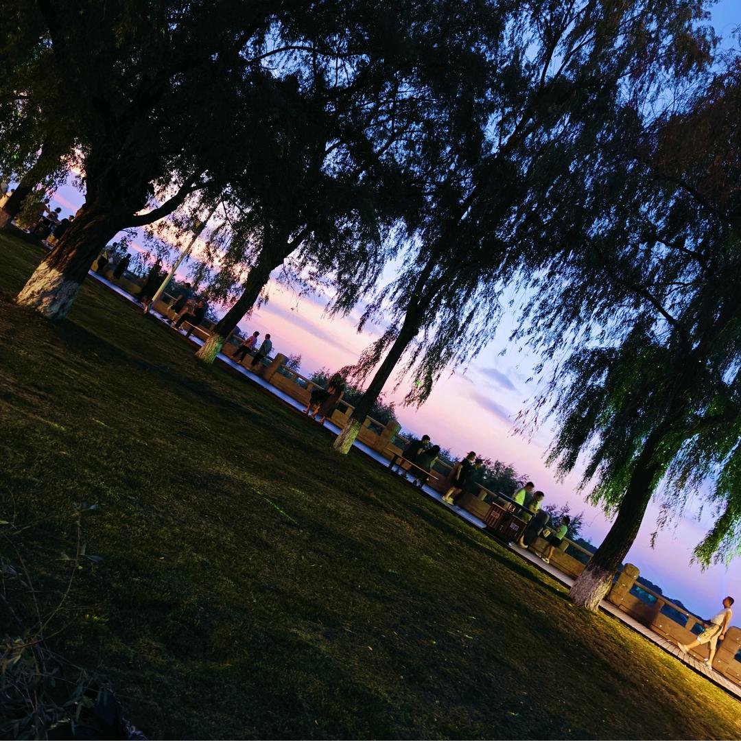 浮生若梦一场空