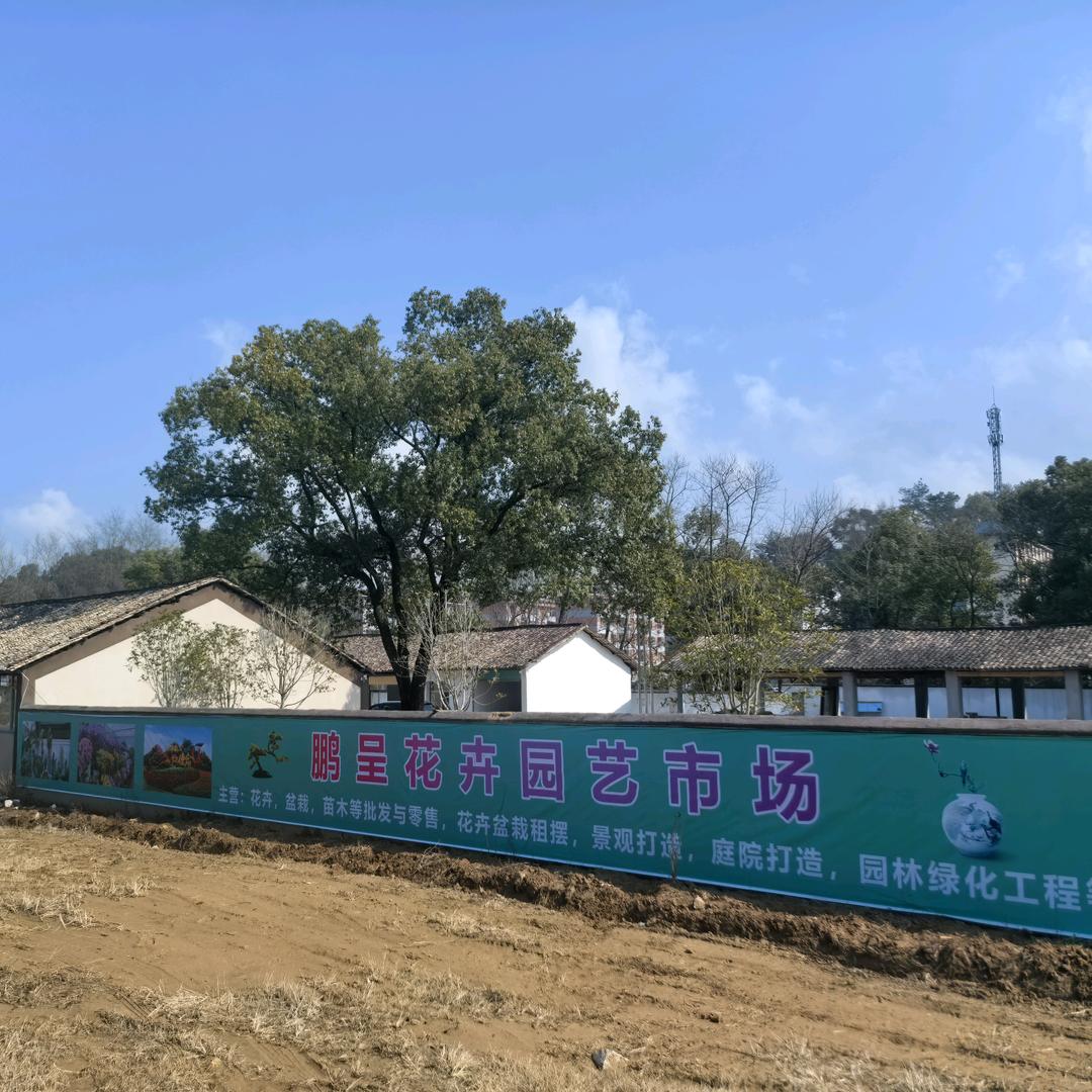 万载鹏呈花卉园艺市场