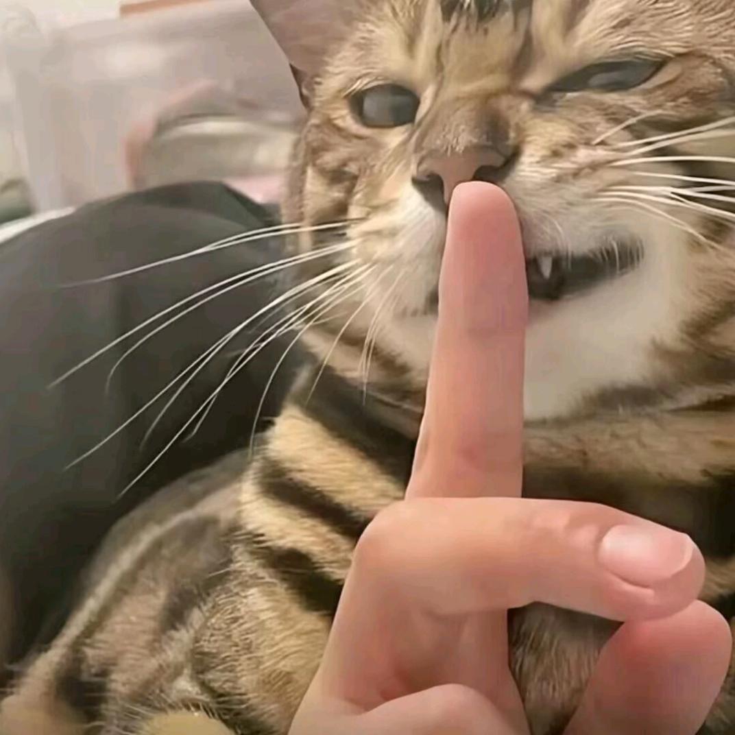 小七✘