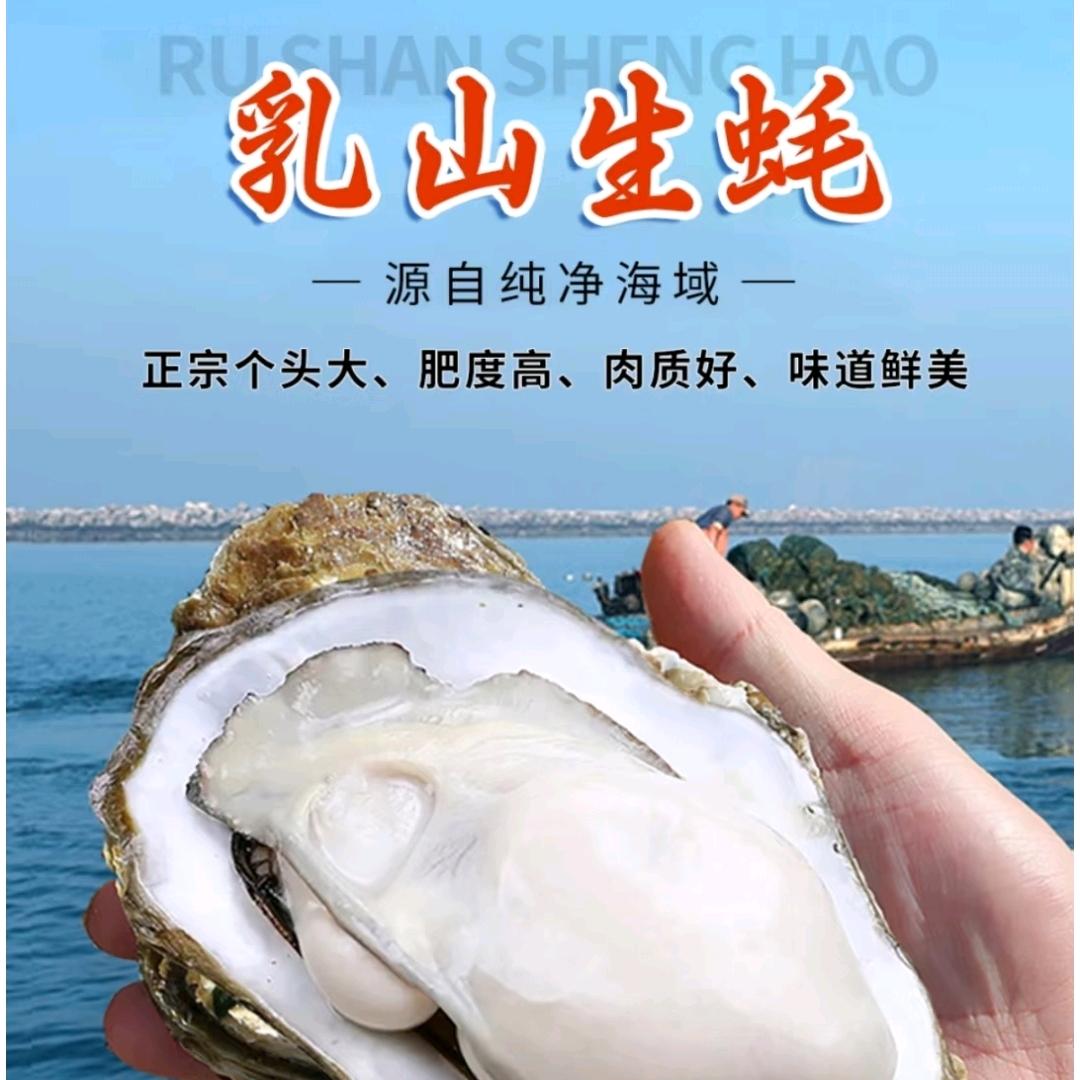 蚝商量~正宗乳山生蚝