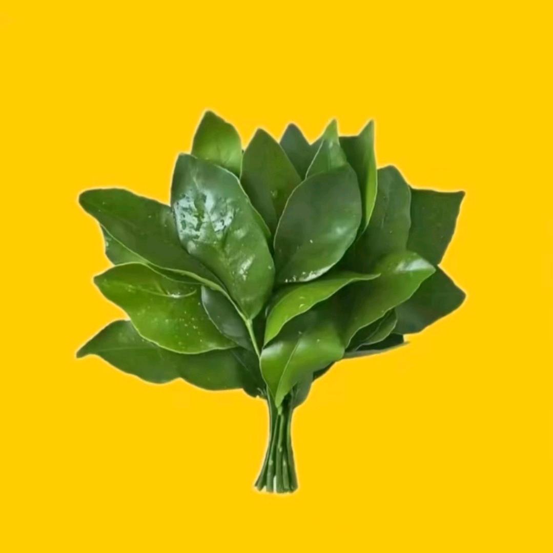 皮皮运和绿茶富