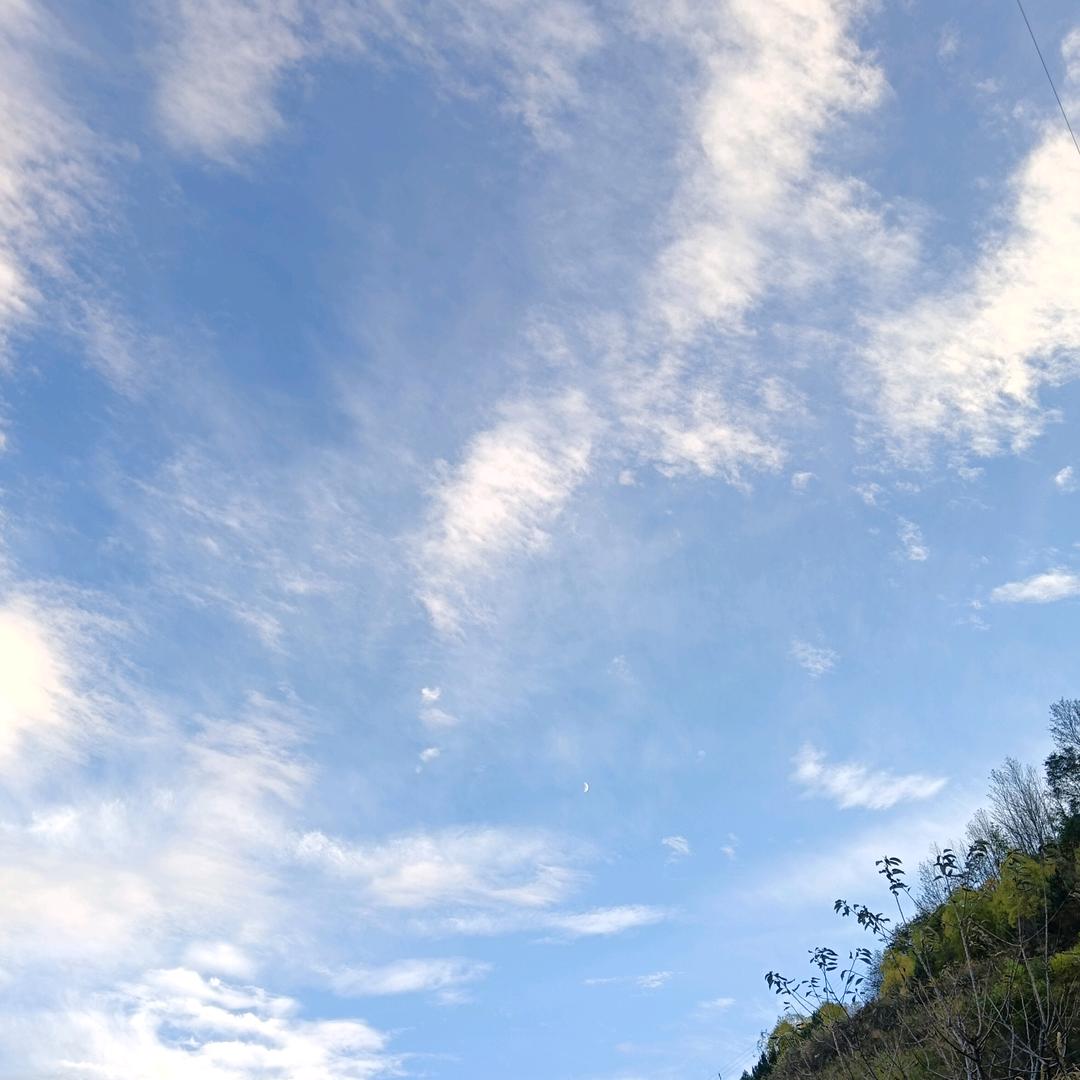 90后 收黄柏 杜仲 厚朴