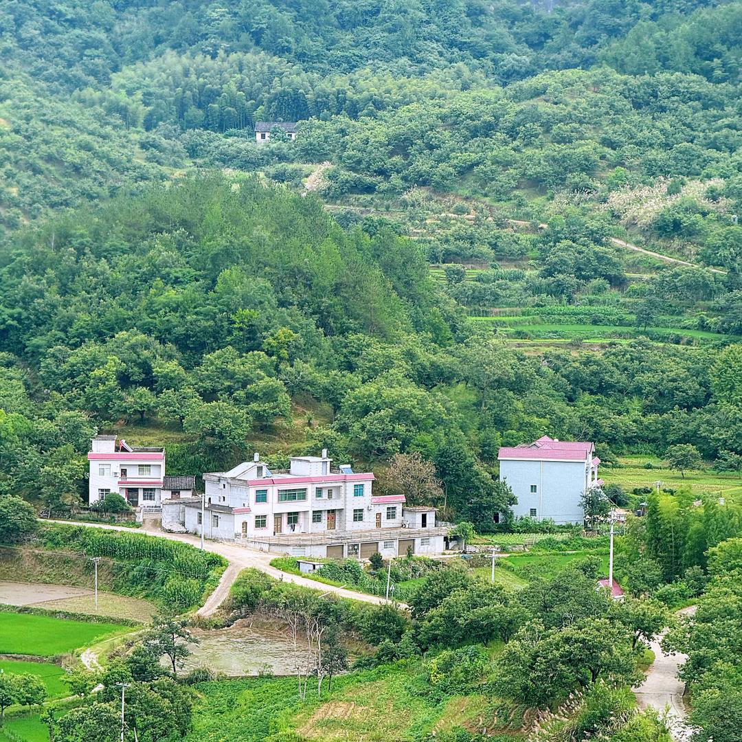 乡村勋哥土特产