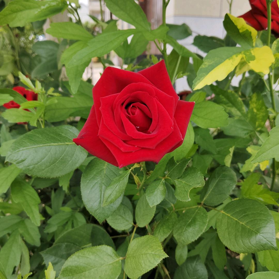 漫步在🍒彩云间