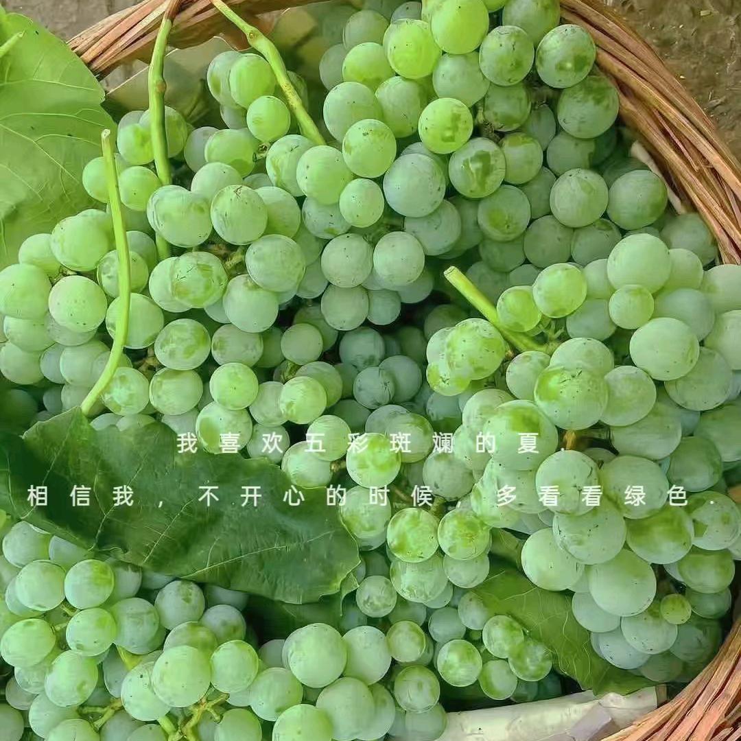 用户5728923913496