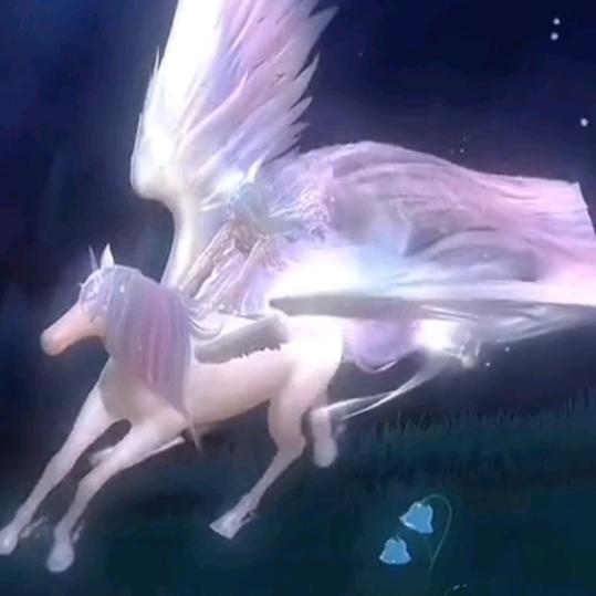 ᰔᩚ⃟回᭄忆ꦻ