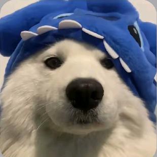 向楠【暗区突围】