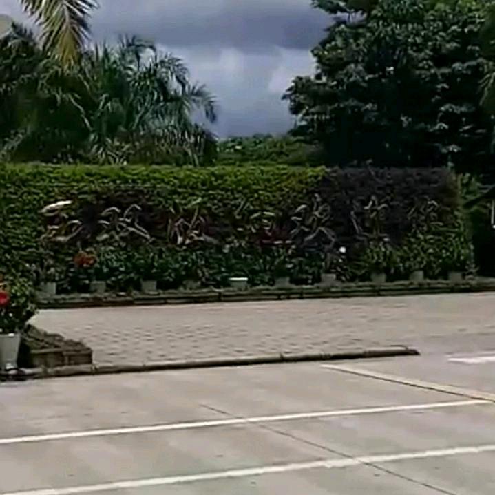 岁月无情