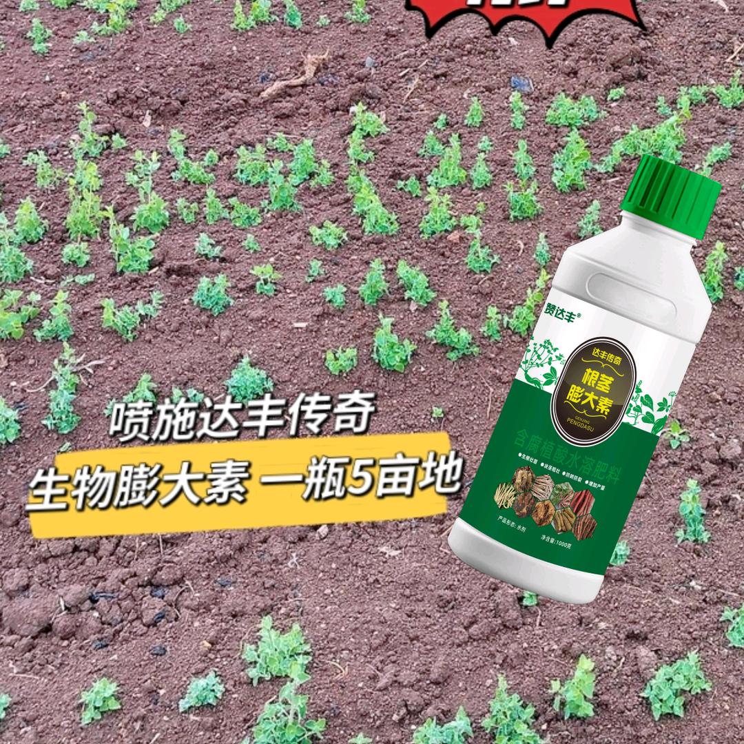 达丰农业