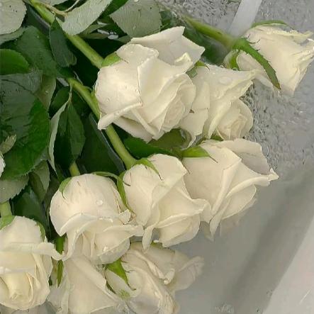 王梦琦淡尔科技好货店