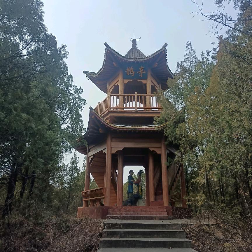 飞翔天空_