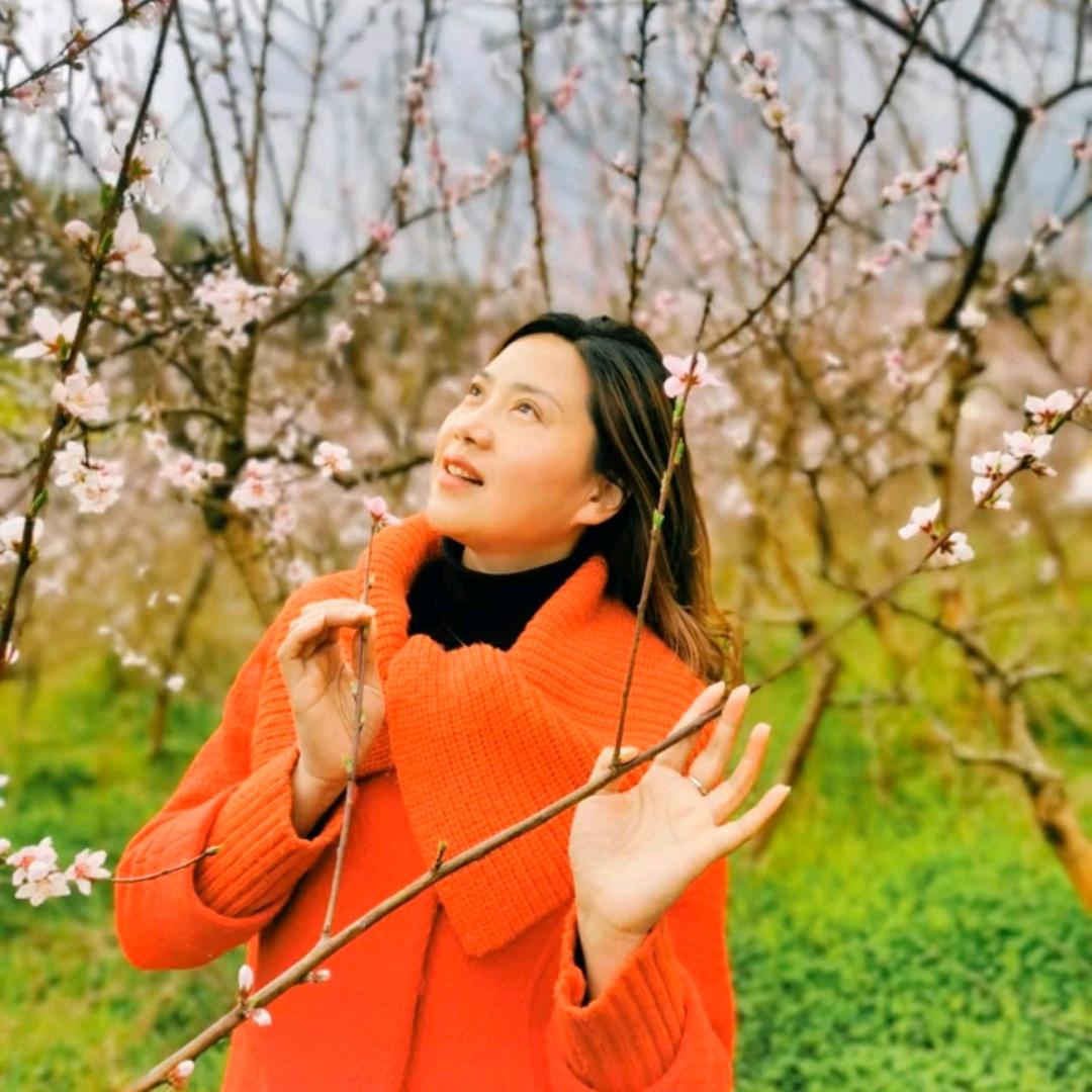 梅紫