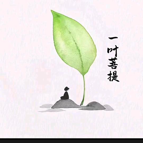 赵姐姐