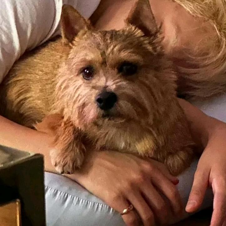 lililulu