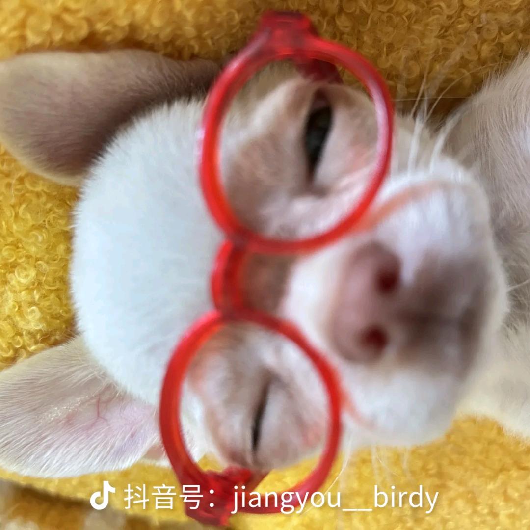 太阳汤粉