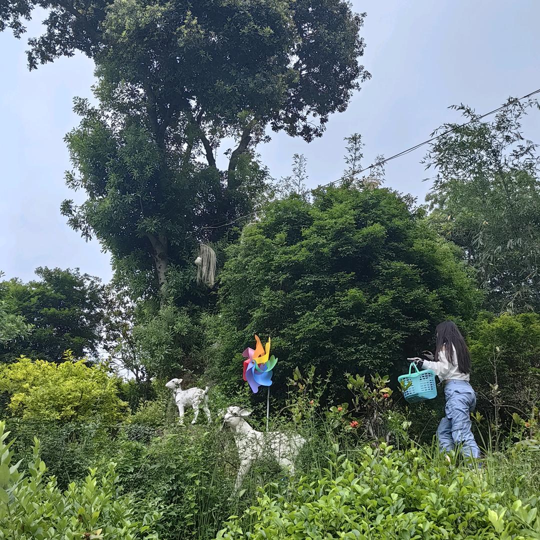 百花里