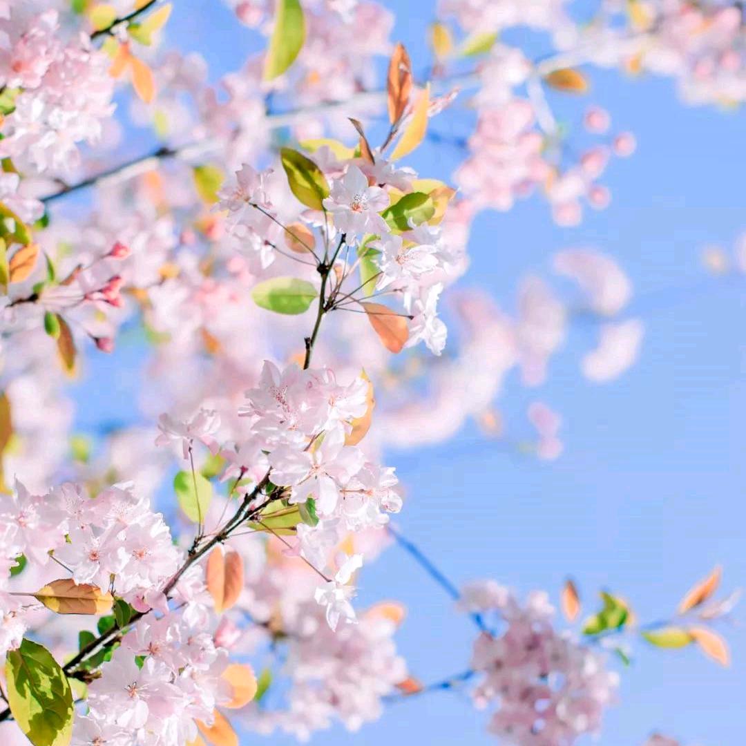 沉默是金L