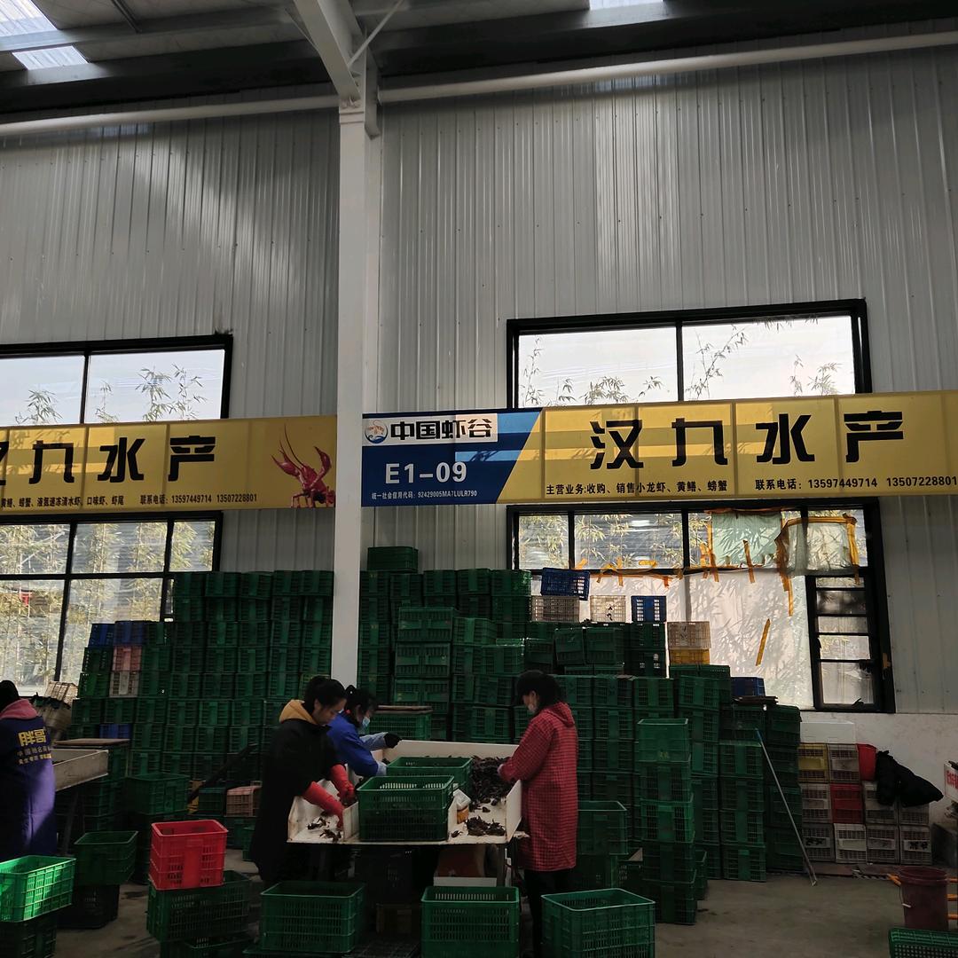 汉九水产-曹慧
