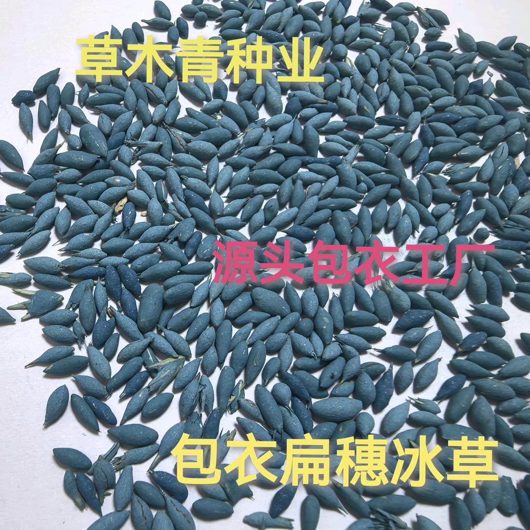草木青种业