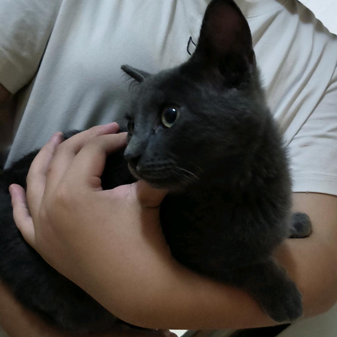 通州刘桥秋飞便民服务部